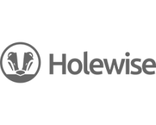 Holewise logo